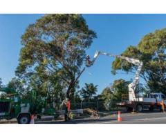 Horizon Tree Service