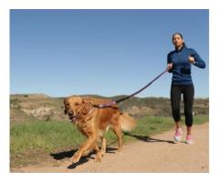 Experience Freedom Together: Explore Our Jogging Dog Leashes at Rocky Mountain Dog