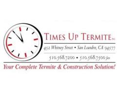 Termite Inspection Pleasanton