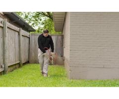 Buzz Boss: Your Go-To for Pest Control in Edmonton