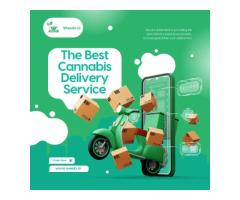 Lancaster Weed Delivery: Convenient Cannabis at Your Doorstep