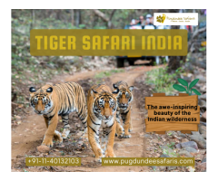 Tiger Safari India