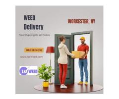 Lex Weed: Your Trusted Cannabis Partner in Westchester County