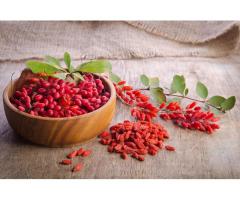 How to Incorporate Barberries into Your Daily Diet Deliciously