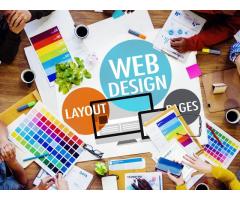 Benefits of Hiring a Professional Website Developer for Your Ecommerce Brand