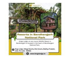 Resorts in Bandhavgarh National Park