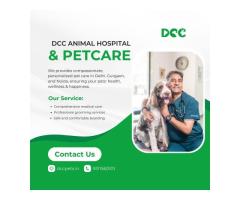 Pet Clinic in Greater Kailash - DCC Animal Hospital