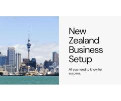 Guide to Setup Company in New Zealand