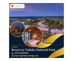 Luxury Resort in Tadoba