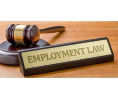 What an Employment Lawyer Can Do for You