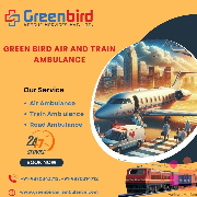 Green Bird Ambulance